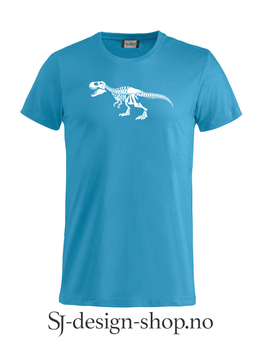 Hovedbilde Dinosaur - T-Rex